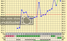 How To Detect Possible Pregnancy In Your Bbt Chart Hot