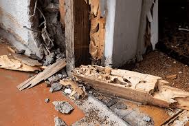 home remes for termites what you