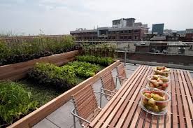 Rooftop Vegetable Garden Gallery