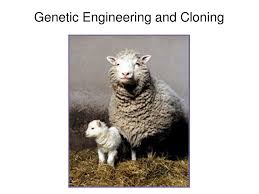 The problem of genetic modification and cloning is very important at the present time. Ppt Genetic Engineering And Cloning Powerpoint Presentation Free Download Id 231623