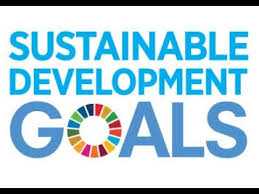 the sustainable development goals 17