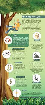 tree climbing gear infographic