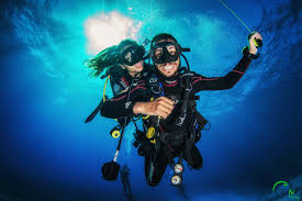 Certified scuba divers will most likely be able to find a private. Mexico Blue Dream Scuba Diving Playa Del Carmen Pro Padi Dive Shop Mexico Blue Dream