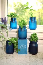 Indoor Herb Garden Hydroponic Herb