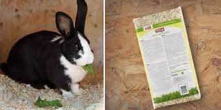 5 best bedding for rabbits reviews of