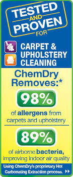 carpet cleaning martinsburg west