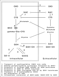 Thiols And Nitrates Reevaluation Of The Thiol Depletion