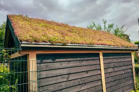 Add A Green Roof To Your Shed Ripley