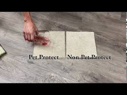 stainmaster petprotect that s going