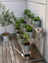 Functional Balcony Herb Garden