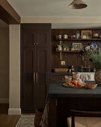 dark kitchen cabinet ideas