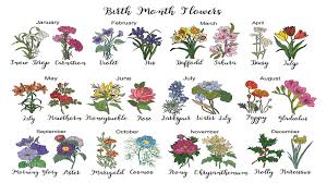 what are the 12 birth flowers