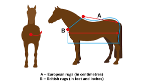 how to fit a horse rug and mere for