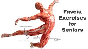 fascia exercises for seniors you