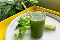 Can you juice celery with a NutriBullet?