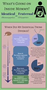 Identical Vs Fraternal Explaining Your Twin Ultrasound