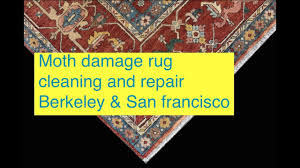 moth damage rug from a to z repair and