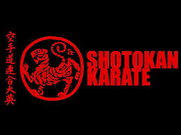 Il kata heian sandan, terzo kata del karate shotokan, eseguito dal piccolo niccolò (7anni). Karate Artes Marciais Marcial