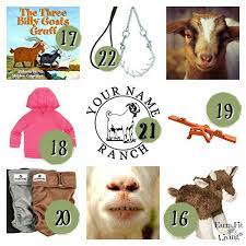 23 unique gifts for goat on your