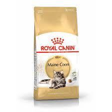 royal canin maine dry cat