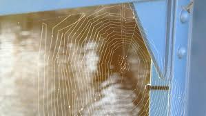 get rid of spider webs and cobwebs