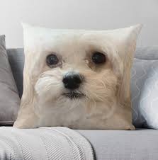 Maltipoo Dog Pillow Maltipoo Dog