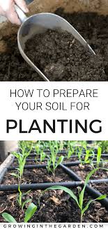 How To Prepare Your Soil For Planting