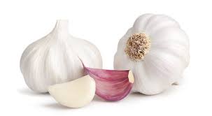 Image result for garlic