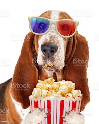 Hond Film Kijken Met Popcorn Stockfoto en meer beelden van Hond - Hond, Hoofdfilm, Driedimensionaal - iStock