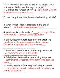 Some of the worksheets for this concept are , meiosis and mitosis answers work, biology 1 work i selected answers, student exploration osmosis work answers epub, explore learning student exploration stoichiometry answer key, student exploration stoichiometry work answers, student exploration stoichiometry work answers pdf. Meiosis Vs Mitosis Worksheet Key
