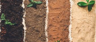 soil used in agriculture to grow