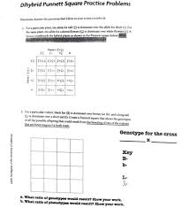 Worksheets are dihybrid cross name monohybrid practice problems show punnett square give practice with monohybrid punnett squares punnett. Download Dihybrid Punnett Square Practice With Answers Free Online E Book