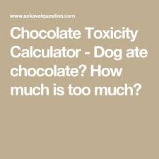 Chocolate Toxicity Calculator Dog Ate Chocolate How Much