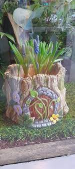 Fairy House Planter And Plant Buy