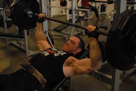 Image result for chest workout plan