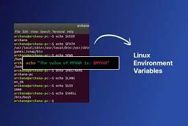 linux environment variables and