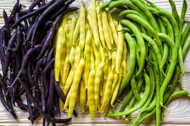 the ultimate green bean growing guide