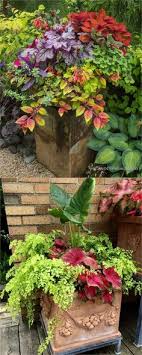 Container Gardening Garden Containers