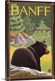 Black Bear In Forest Canvas Wall Art