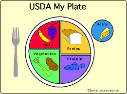 Usda Food My Plate Enchantedlearning Com