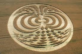 cropcircles wired