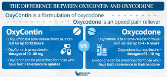 oxycontin and oxycodone