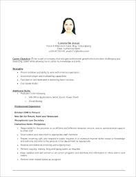 Examples Of Resume For Job Application Joefitnessstore Com