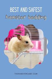 2022 safest hamster bedding must use