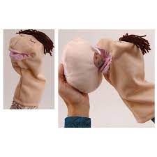 Amazon.com: Cloth Breast and Hand Puppet Model Set, Beige : Industrial &  Scientific