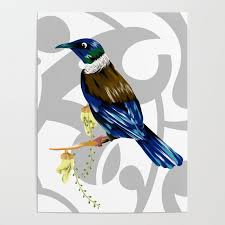 Tui New Zealand Bird Poster By