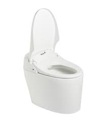 Bidet Toilet Seat At Best From