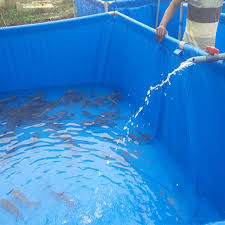 Berikut ini saya akan memberikan tahapan step by step pembuatan kolam terpal khusus untuk membudidaya ikan. Kolam Pertanian Ikan Pvc Peralatan Kolam Ikan Terpal Tangki Ikan Persegi Kolam Ikan Buy Tangki Ikan Untuk Budidaya Ikan Peralatan Pertanian Peternakan Tangki Ikan Product On Alibaba Com