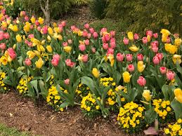 Find the reviews and ratings to know better. 20 Million Reasons To Visit Gibbs Gardens This Spring