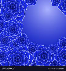 beautiful blue rose flower background